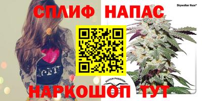 гидропоника Пугачёв