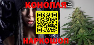 гидропоника Пугачёв