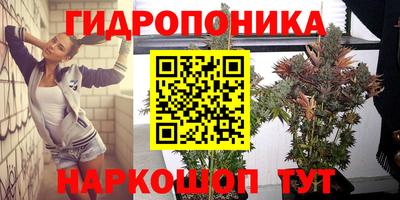 гидропоника Пугачёв