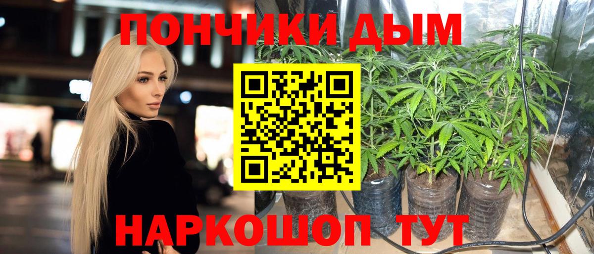 Шишки марихуана сатива  Вход с VPN  Арсеньев  Бошки Шишки семена 